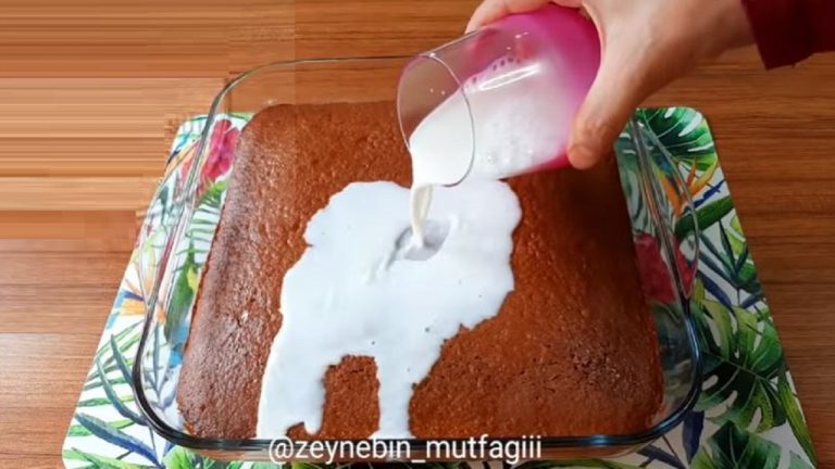 Bu Nasıl Lezzet Evdeki Malzemelerden Dama Pasta Tarifi
